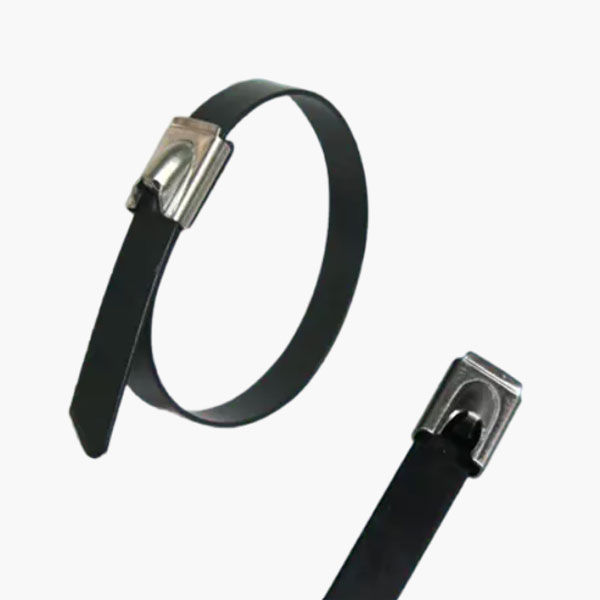 Ease 200x4.6 Stainless Steel Cable Tie, Black
