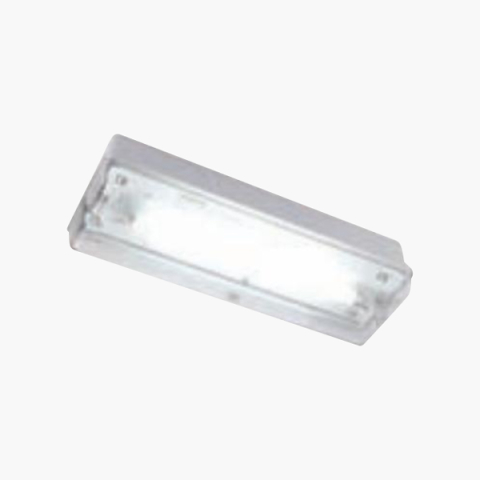 Robus Emergency Bulkhead Fitting, Non Maintained With Lamp, 1X8W, RC8NM-01