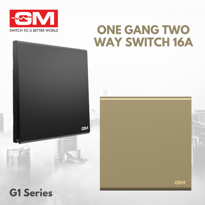 GM One Way Two Gang Switch, 16A, G1 Series