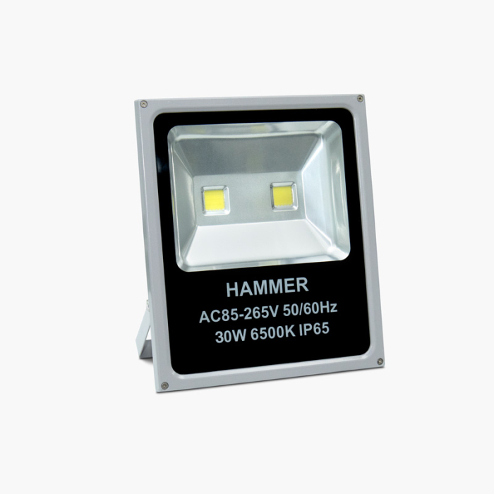 Hammer 30W Led Flood Light IP65, ED-TGD04003